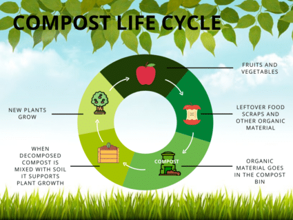 Compost Lifecycle