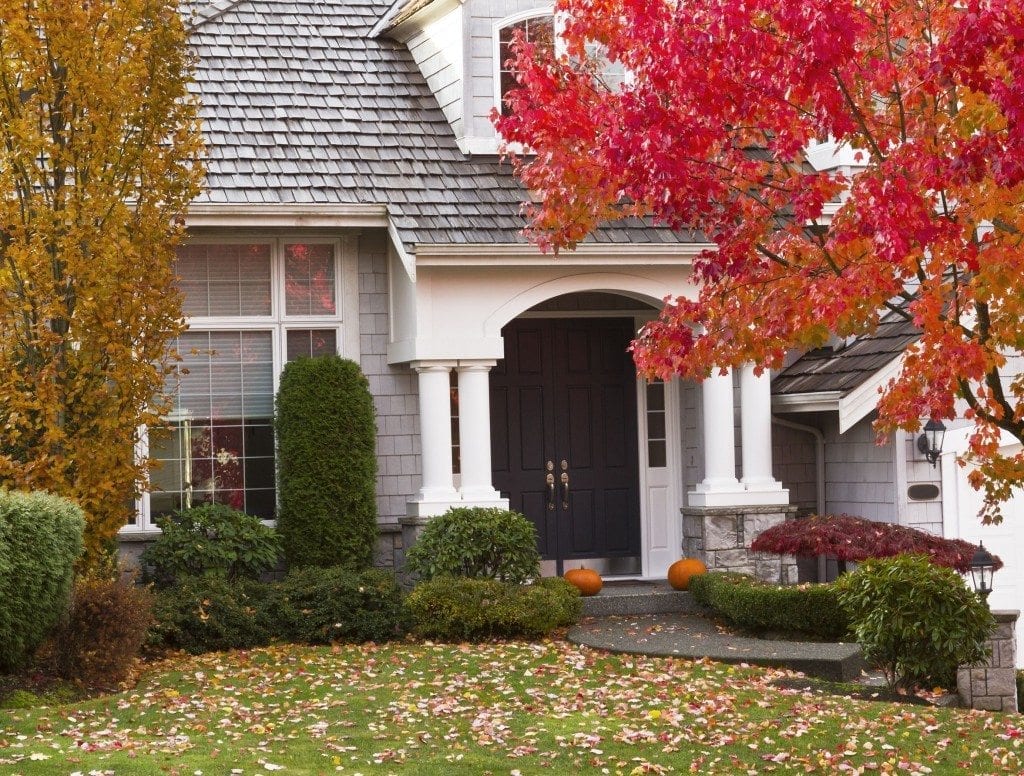 dumpster rental for landscaping