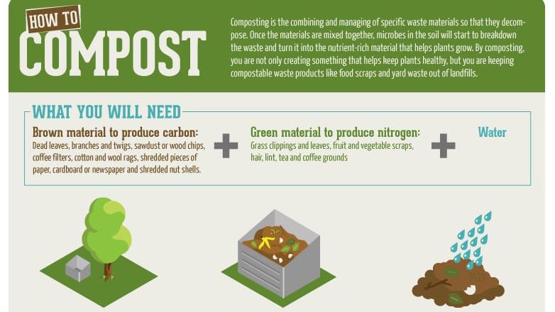 Getting starting with composting tips