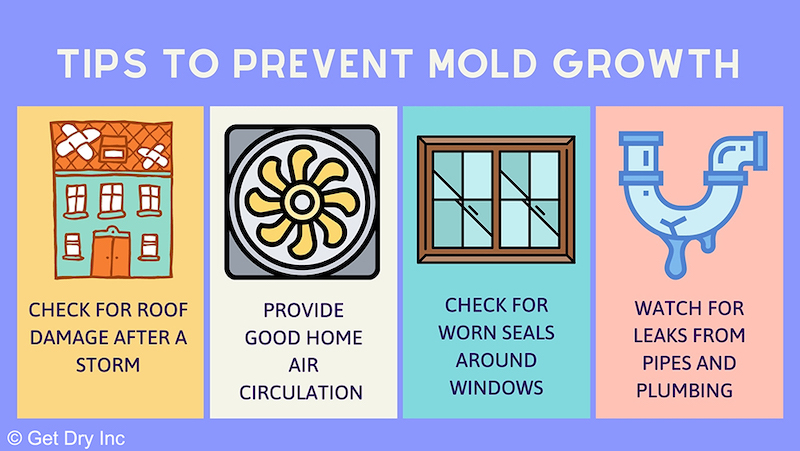 Tips for Preventing Mold Growth After a Storm