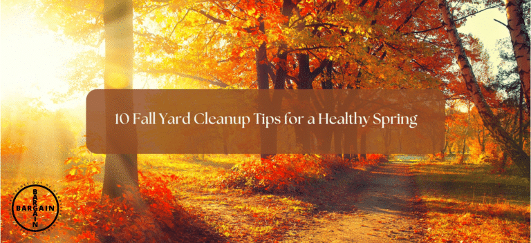 10 Fall Yard Cleanup Tips for a Healthy Spring