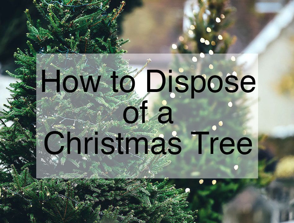 how to dispose of a christmas tree bargain dumpster how to dispose of a christmas tree bargain dumpster