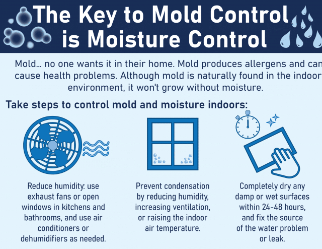 Mold Prevention and Remediation