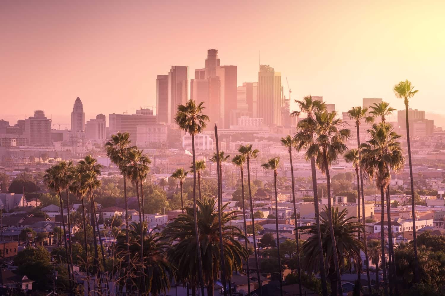 Los Angeles Skyline Los Angeles Dumpster Rentals