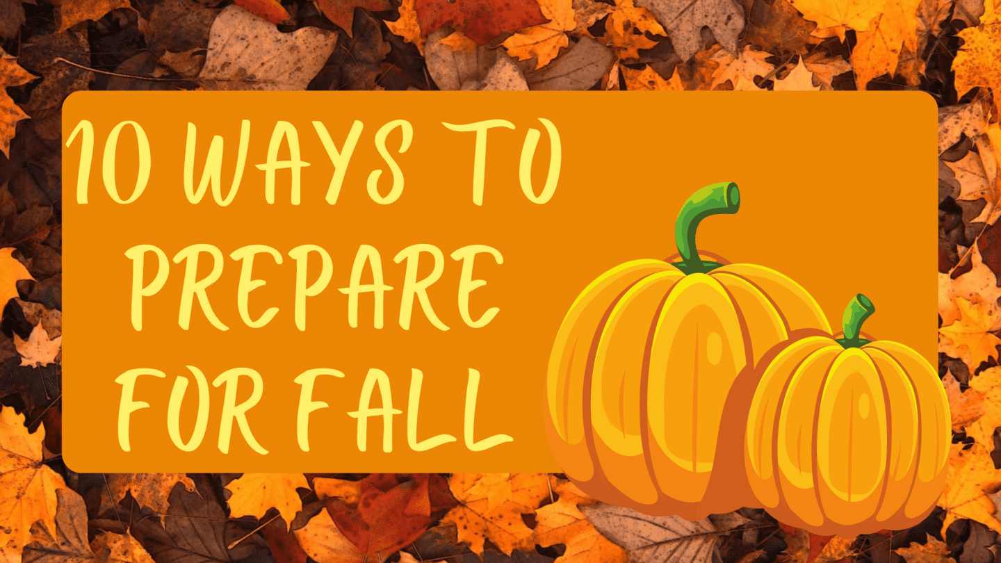 Bargain Dumpster Blog