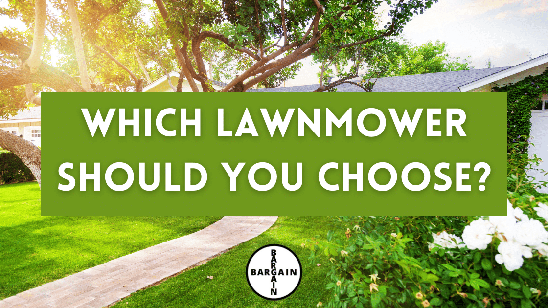 Which Lawnmower Should You Choose Bargain Dumpster