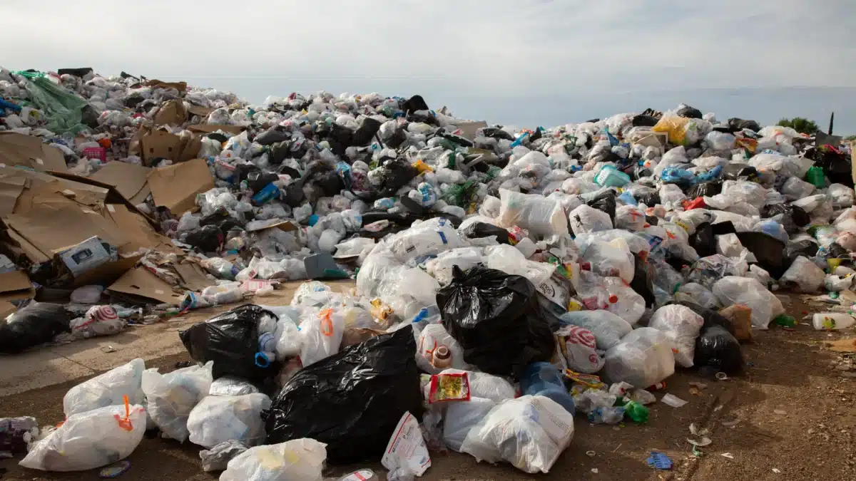 Sustainable Trash Collection in Tucson Bargain Dumpster