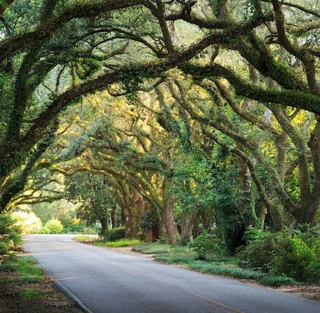 Charming Magnolia Springs Alabama!