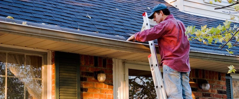 Clean and Inspect Your Gutters for Fall