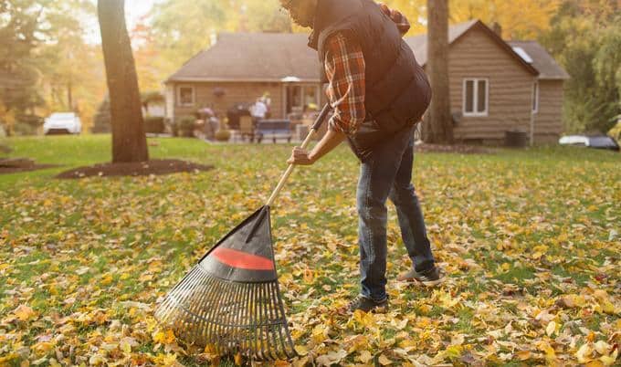 Outdoor Maintenance Tips for Fall