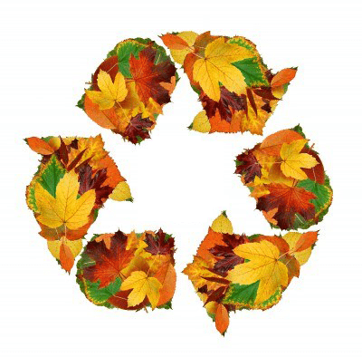 Autumn Recycling