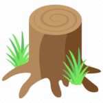 Tree Stump