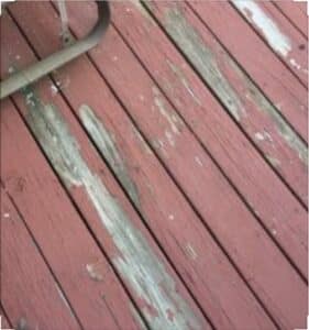 Durability of deck stains and paints