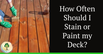 How often to paint or stain a deck