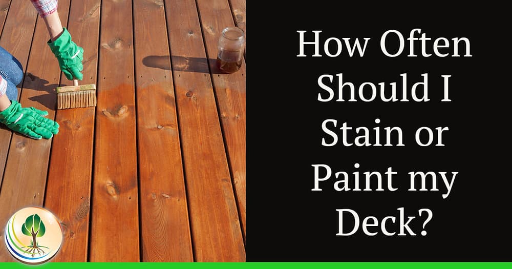 Deck Finish Dilemma It's Paint vs. Stain for lasting outdoor beauty!