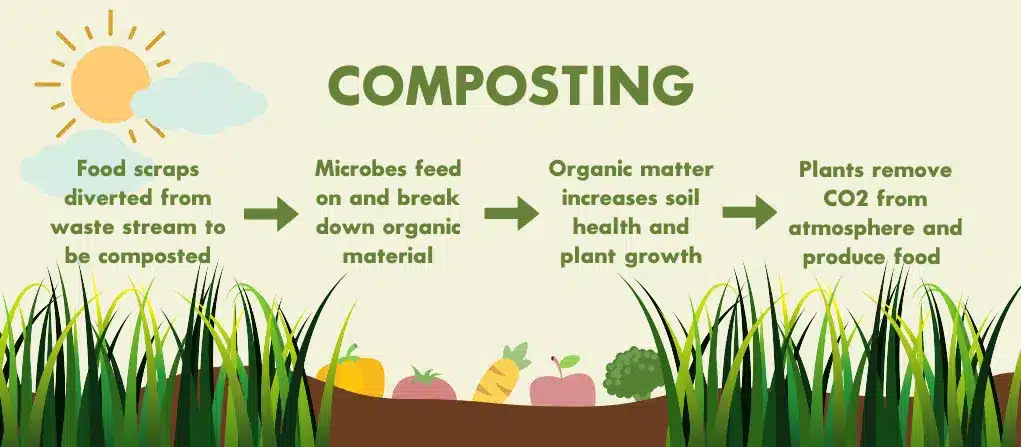 the composting cycle