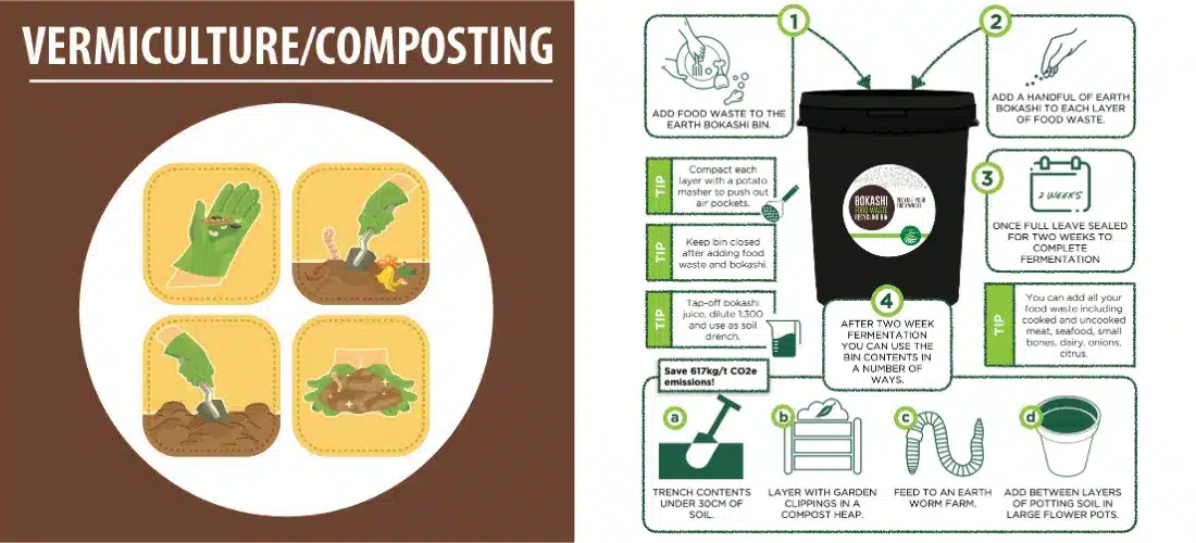 Vermiculture vs Bokashi