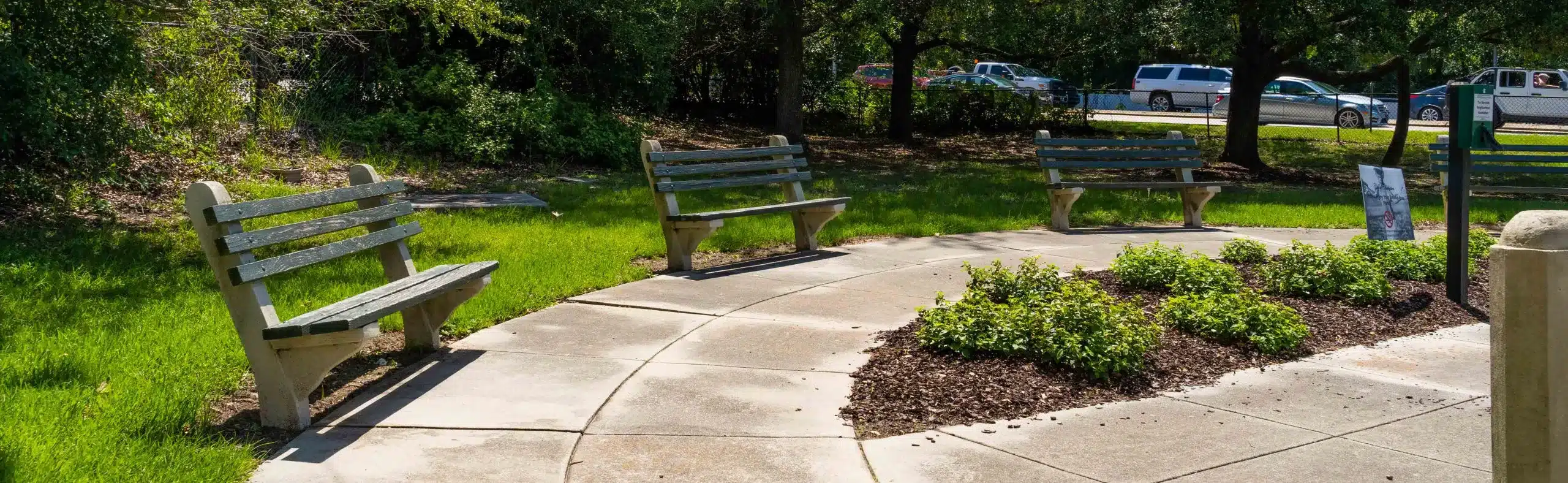Beautiful park with bench in Charleston, SC