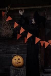 a witch in a black costume is holding a pumpkin