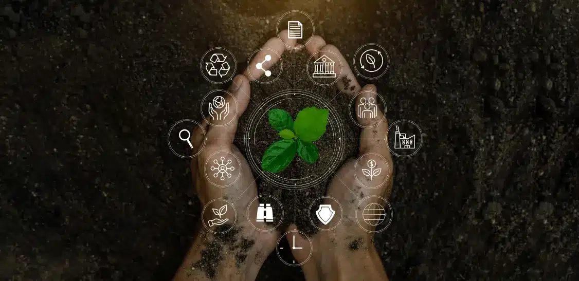Hands holding a young tree seedling in soil, symbolizing replanting and environmental restoration after tree removal.