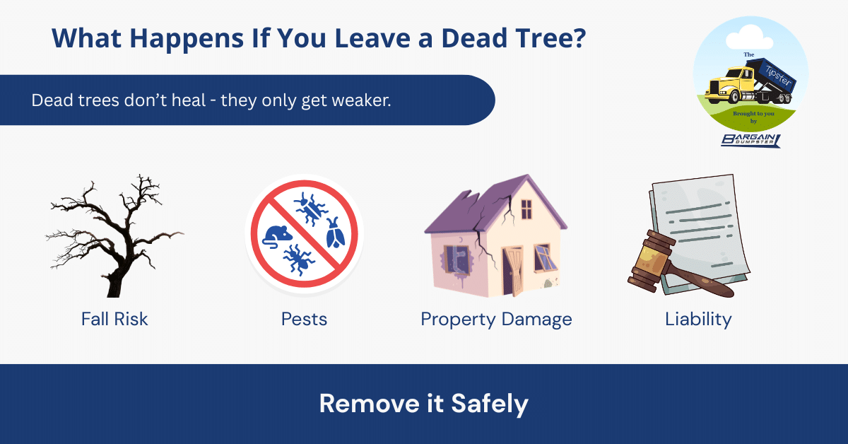 Infographic showing the risks of leaving a dead tree standing, including falling branches, pest infestations, property damage, and liability.