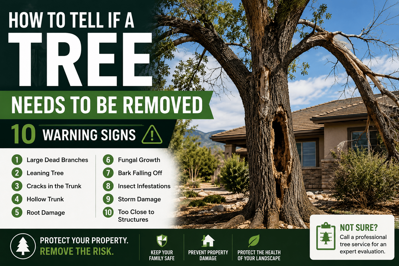 Infographic showing 10 warning signs that a dead or hazardous tree should be removed, including dead branches, trunk cracks, root damage, fungal growth, and insect infestations.